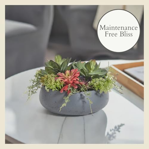 CG Hunter Faux Succulent Arrangement, Premium Artificial Indoor Plant Enhances Interior Design, Display on Any Surface in Your Home Adding an Inviting Touch of Nature, Grey Planter Pot Included - size: 14" Round Grey Planter