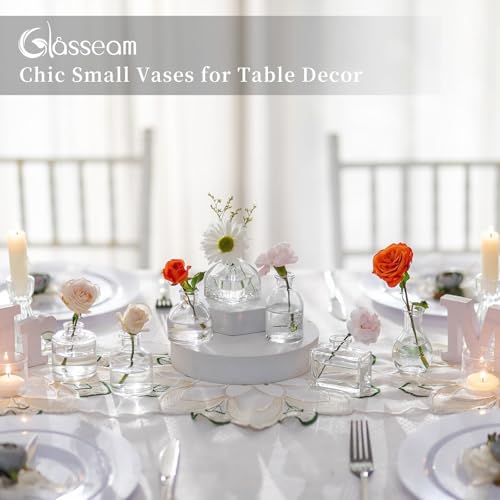 Glasseam Clear Glass Vases for Centerpieces: Mini Flower Vase Set 28Pcs Bud Vases in Bulk - Modern Small Vases for Home Room Wedding Party Dining Table Center Decor - size: 28Pcs-mini vases