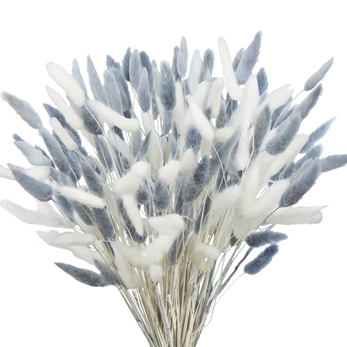 CITYES 120Pcs Dried Bunny Tails Flower Lagurus Ovatus Natural Dried Flowers Rabbit Tail Grass Gray and White Dried Pampas Grass Dried Floral Arrangement for Boho Decor Wedding Home DIY Farmhouse Table - color: White and Grey