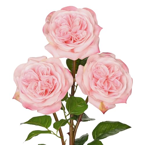 Artificial Roses - Set of 3 Long-Stem Real Touch Silk Roses, 24.4" Faux Flowers for Home Decor, Wedding Bouquets, Centerpieces & Floral Arrangements – Lifelike Pink Fake Roses - color: Pink