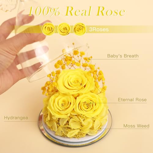 Mothers Day Flowers Gifts for Mom Flowers for Delivery Preserved Flowers Forever Real Fresh Roses in Glass Angel Figurines Birthday Gifts for Women Anniversary Present for Grandma Wife from Daughter - color: Yellow (Rose, Baby's Breath, Hydrangea)