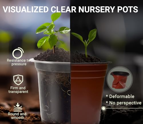 30 Packs Clear Nursery Pots for Plants, 3.5/4/5 Inch High Transparency Plastic Seedling Plant Pot with Drainage Holes, Includes 20 Labels - size: 3.5/4/5 in-30p