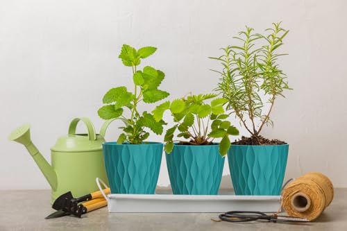 4 Inch Plant Pots, 6 Pack Indoor Flower Pots, Planters with Drainage Holes and Trays for Orchids, Violets, Succulents, Herbs, and Other Plants,Blue-Green - color: Blue-green, size: 4inch
