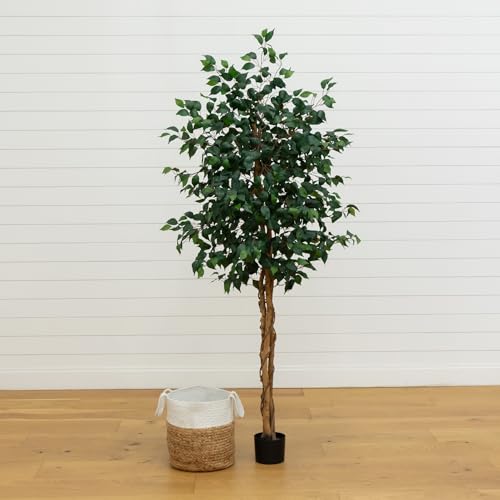 Nearly Natural 6ft. Triple Trunk Ficus Artificial Tree with Natural Trunks in Handmade Natural Jute and Cotton Basket Planter - size: 6ft, style: Tree in Basket
