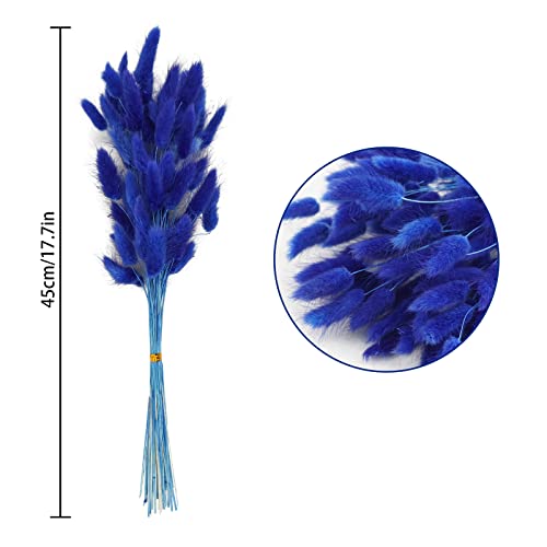 Uieke 17’’ Natural Bunny Tails Dried Flowers, 120 Pcs Dried Lagurus Ovatus, Dried Blue Pampas Grass Decor for Farmhouse Flower Arrangements Wedding Home Party Decorations - color: Blue-120pcs