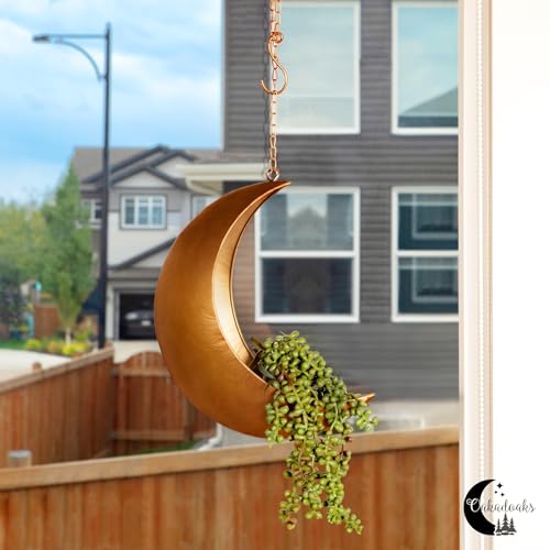 Gold Hanging Moon Planter – with Drain Holes - Moon Room Decor - Unique Planters for Succulents,Air Plant, Cactus, Artificial Plants- Plant Lover Gifts - Boho,Hippie, Birthdays,Witchy Gifts for Women - color: Gold Moon With Drain Holes
