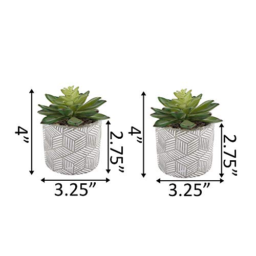 Flora Bunda Mid Century Artificial Plants Cactus Set of 2 Artificial Succulent in 3" Cement Pot Grey Planter, 2 Fake Potted Plants, for Home Office Decorations