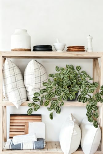 Briful Artificial Potted Plant Indoor, 19.6" Faux Watermelon Peperomia Trailing Plant in Black Pot, Realistic Fake Plants with Cascading Green Leaves for Shelf Bathroom Office Desk Kitchen Home Decor - color: Dark Green Grid