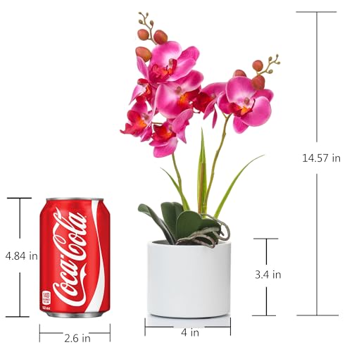 Jusdreen Artificial Purple Orchid, Phalaenopsis in Ceramic Pot with Vase for Home Office Table Decor, Flower Centerpiece - color: Z/Ceramic-purple