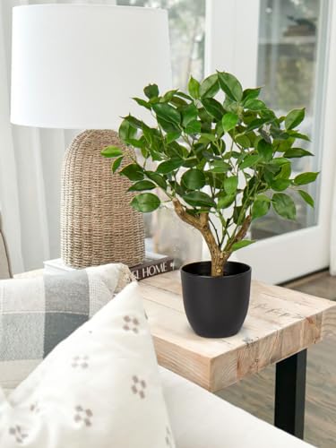 GnFlus Artificial Tree, 17'' Ficus Bonsai, Premium Faux Planted Potted Decor for Home Table Office Desk Bathroom Bedroom Living Room Farmhouse - color: Green