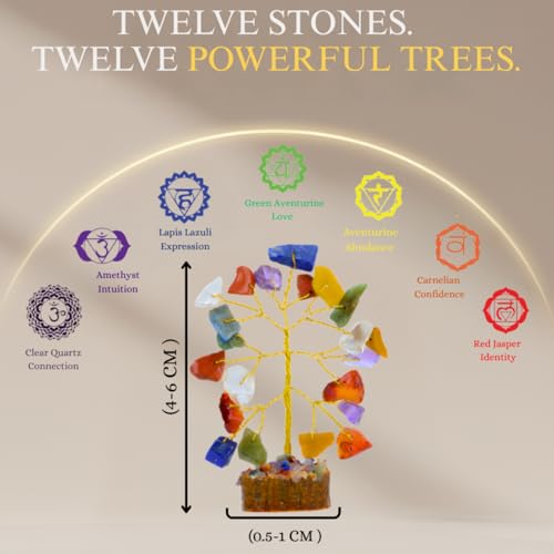 ANAYA AGATE Crystal Tree Set of 12 Unique Birthday Gifts for Women,Sister,Mom,Home Office Decor,Shelf Decoration for Positive Energy,Bring Good Luck,Money,Reiki Healing, Chakra Tree of Life Gift Sets - color: Gemstone Tree Set