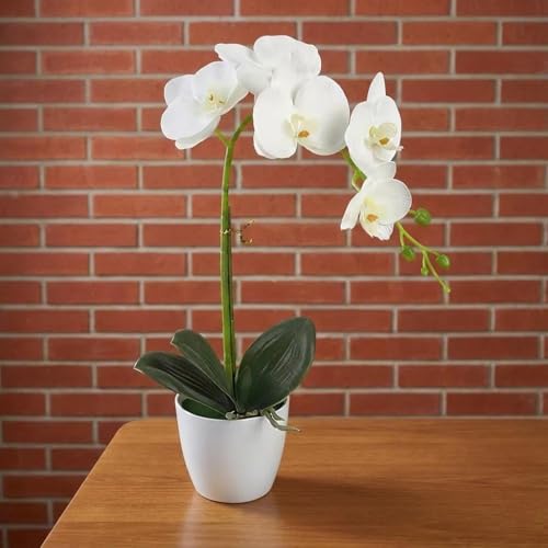 Artificial Orchid Flowers in Pot, 17" Real Touch Phalaenopsis Faux Orchid Plant (Adjustable to 20"), Large White/Pink Fake Flower Arrangement for Dining Table Centerpiece, Home Office (White) - color: White
