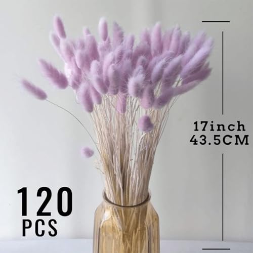 120pcs Light-Purple Bunny Tail Pampas Grass Dried Flowers for Vase Boho Flowers Dried Babys Breath Wedding Decor Dry Flowers for Vase (Purple 120 PCS)