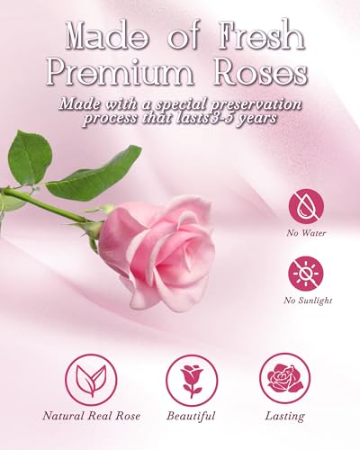 HVY Preserved Flowers Gifts for Her,Preserved Rose Bouquet in Glass Dome,Forever Flowers Fresh Bouquet Present for Women Mothers Day Birthday Gifts for Mom Wife Grandma,Pink Real Rose - color: Pink Rose