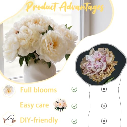 Light Champagne Premium Silk Artificial Peonies, 2 Bouquets (10 Large 5.12" Heads), 13.78" Tall Fake Floral Arrangements for Wedding Centerpieces, Home Decor & Indoor Vase Display - color: Light Champagnek