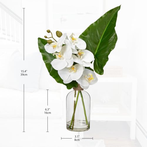 GnFlus Fake Plant and Faux Orchids in Glass Vase, 15.4" Realistic Faux Tropical Plants Artificial Orchids with Fake Water for Home Farmhouse Office Centerpiece Bathroom Kitchen Counter Décor - color: Alocasia + Orchids