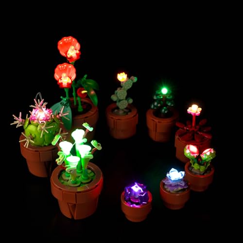 LED Light Kit for Lego 10329 Tiny Plants Creative Building Set, Decoration Lights for Carnivorous, Tropical and Arid Flora, Build and Display Cactus Décor,(Lights Only, No Lego Models) - color: Tiny Plants 10329, size: Standard Version