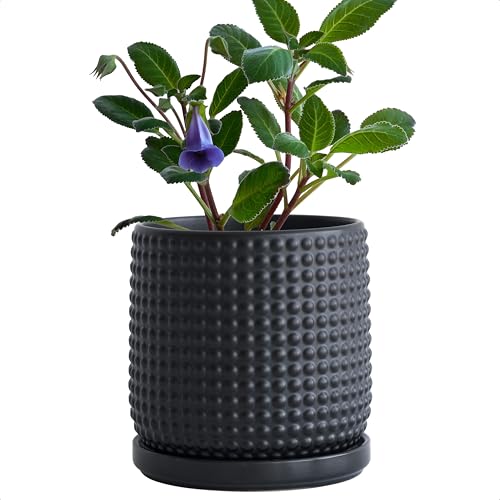 D'vine Dev 6 Inch Ceramic Beaded Stoneware Planter Pot - Flower Pot with Drainage Holes and Saucers for Indoor Succulent Plants or Flowers, Ebony Matte, 27-C-X-6 - color: Ebony Matte, size: 5.8 Inch