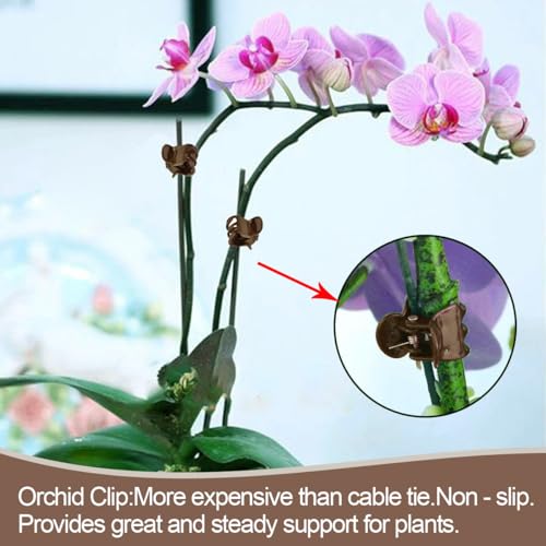 22Pcs Plant Stakes with 22 Pcs Clips, 15.8 inches Bendable Green Plant Sticks for Indoor and Outdoor Plants,Potted Plants,Single Stem Flower Support for Orchid Peony Rose (22, Brown) - color: brown