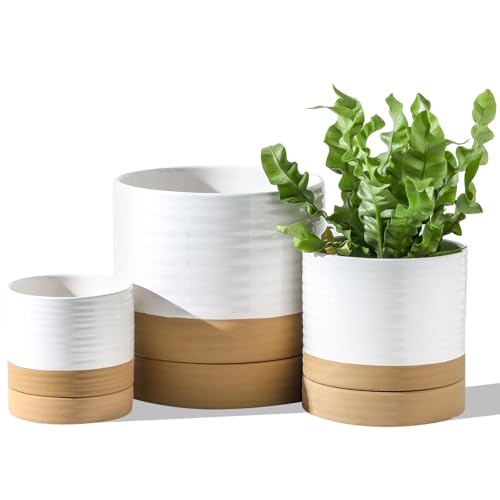 HASENSE Ceramic Plant Pots with Saucers Set of 3, 8+6+4.6 Inch Planters for Indoor Plants with Drainage Holes,Two-Tone Design White Flower Pots for Snake Plants & Cactus,Home & Office Decor - color: White