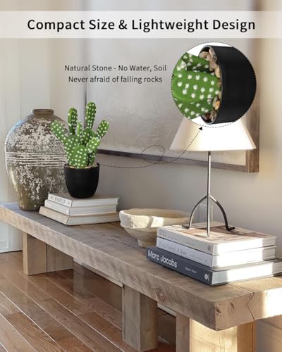 Artificial Cactus Plants 9.8 inch Small Faux Cactus Plants Indoor Fake Desert Cacti Succulents Plants Artificial Plant Indoor with Pot Cacti Decorations for Home Decor Office Desk Tabletop Shelf - size: SUP_168