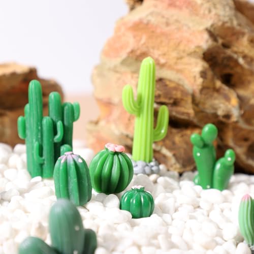 36 Pcs Mini Resin Cactus, Miniature Resin Cactus Figurines 12 Styles Cute Small Artificial Green Cactus Succulent Plants for Garden Flower Pot Bonsai Tiny Micro Landscape Decors