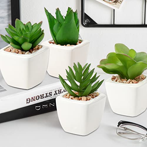 Hollyone Succulents Plants Artificial 4Pcs Small Fake Succulents in Pots Faux Plastic Potted Plants with White Ceramic Pot for Home Decor Office Desk Bathroom Shelf Indoor & Outdoor Decoration - color: 4pack - White Ceramic