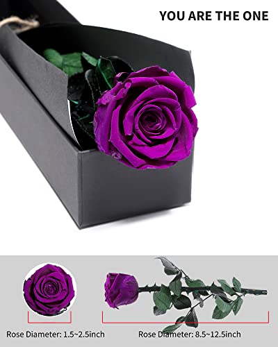 Purple Flowers for Delivery Prime, Preserved Purple Roses Flower Gifts for Women, Real Roses Single Rose Gifts for Her, Mom Birthday Gifts from Daughter, Valentines Flowers - color: 06-purple