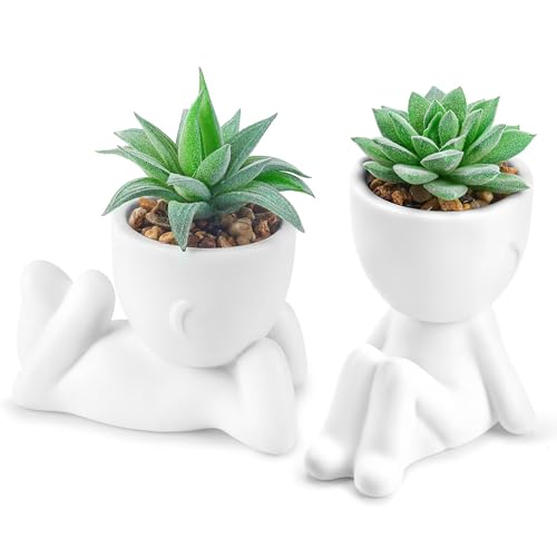 Der Rose 2 Pack Fake Plants Succulents Plants Artificial for Living Room Home Bathroom Office Decor - color: White
