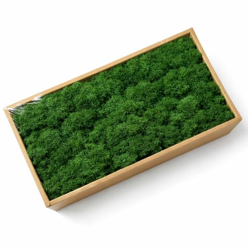 Preserved Reindeer Moss, 17.64oz Natural Decorative for Home Decor, DIY Crafts, Moss Wall Art, Terrariums, Floral Arrangements, Wedding & Holiday Decorations (Dark Green) - color: Dark Green