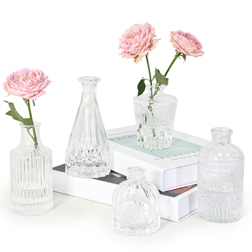 SUPMIND Glass Bud Vase Set of 5, Clear Small Flower Vases for Centerpieces in Bulk, Mini Vintage Vase for Rustic Wedding, Home,Table - color: Clear, size: 5Pcs