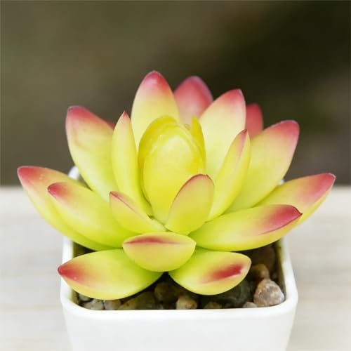 Artificial Succulent Plants in Pot - 1Pcs 5-Horned Lotus Yellow Realistic Fake Potted Succulents for Home Decor, Desk, Office, Bathroom, Windowsill - Indoor Houseplant for Bedroom, Kitchen, Shelf - color: 5-horned Lotus Yellow