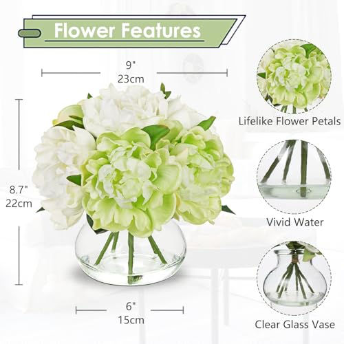 Hollyone White and Green Peonies Artificial Flowers with Vase Faux Flowers Peony Fake Flowers Silk Flower Arrangements in Glass Vase with Faux Water for Bathroom Table Centerpiece Shelf Home Decor - color: Peony, Green