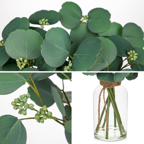 Fake Real-Touch Eucalyptus in Glass Vase with Faux Water – Realistic Faux Greenery Decor, 15.4" Tall, Artificial Silver Dollar Eucalyptus Arrangement for Home, Farmhouse, Kitchen, Bathroom, Office - color: Green