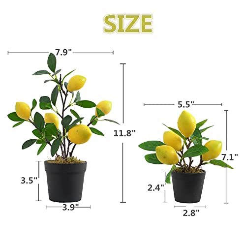 QTMY 2 Pack Artificial Mini Lemon Tree Potted Plants, Nearly Natural Fake Plant Lemon Decor for Kitchen, Indoor, Living Room, Bedroom