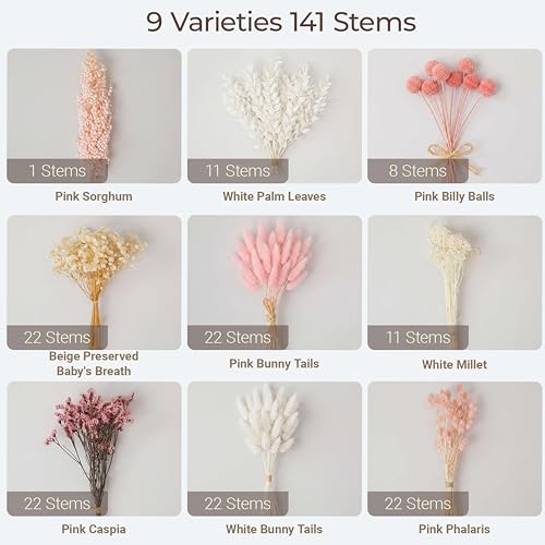 LUXEEASE DIY Boho Dried Flowers Bouquet 141 Stems, 9 Kinds Natural Preserved Flowers (Pink/White) Mini Dried Flower Arrangements for Home Wedding Centerpiece - color: Blush & Cream