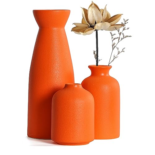 CEMABT Ceramic Orange Vases Set of 3 Small Flower Vases for Decor, Modern Rustic Farmhouse Home Decor, Decorative Vases for Pampas Grass,Idea Shelf,Table,Bookshelf,Entryway- Distressed Decor - color: 3set-orange