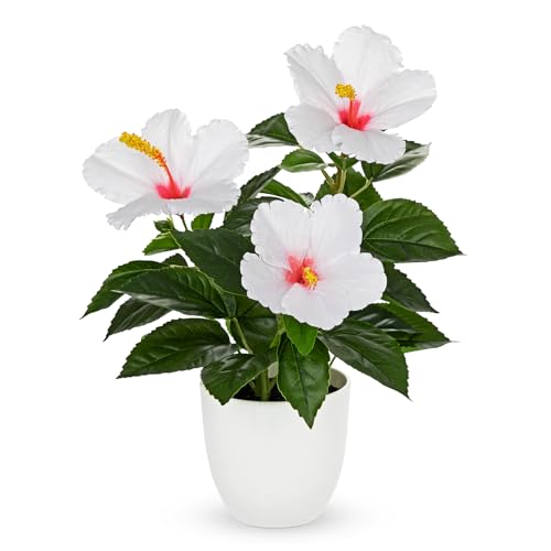 Briful Artificial Hibiscus Flowers in Pot, 14.5’’ Faux Hibiscus Plant, Spring Summer Flowers for Home Decor, Farmhouse Table Decor & Coffee Table Decor, Indoor Potted Fake Flower, White - color: White
