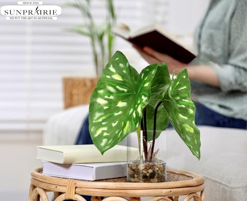 SUNPRAIRIE Tropical Artificial Plant in Clear Pot with Artificial Water, Wide Arrowhead Leaves. Faux Plants Indoor and Outdoor