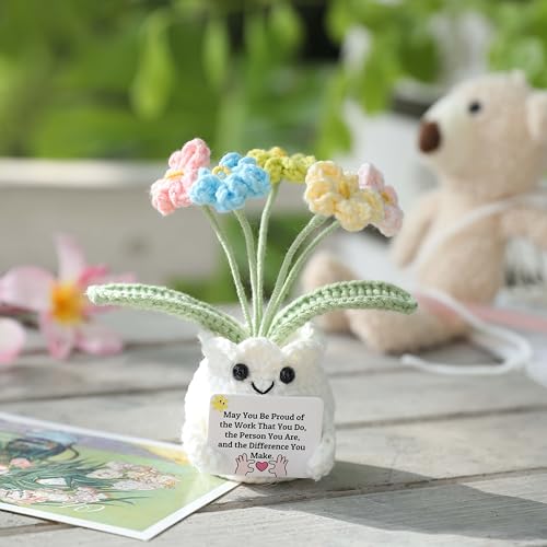 YOOJEE Forget-Me-Not Crochet Flower Potted Plant Gift - color: E-May You Proud of The Work That You Do
