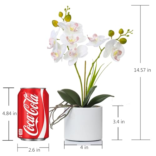 Jusdreen Artificial White Orchid in Ceramic Pot, Realistic Phalaenopsis Arrangement with Potting for Home Office Table Decor, 14.5 Inch Flower Centerpiece - color: Z/Ceramic-white
