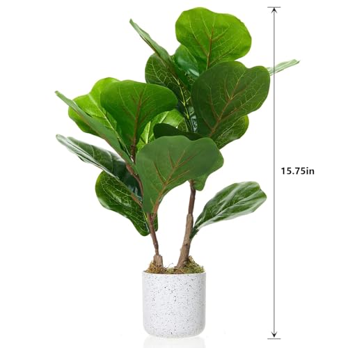 Artificial Fiddle Leaf Fig Tree in Pot 2 Sets, 15.7" Faux Ficus Lyrata Plant Green Bonsai in White Planter, Indoor Decorative Fake Tree for Home Office Desk Living Room, Modern Room Decor - size: 15.7 inches
