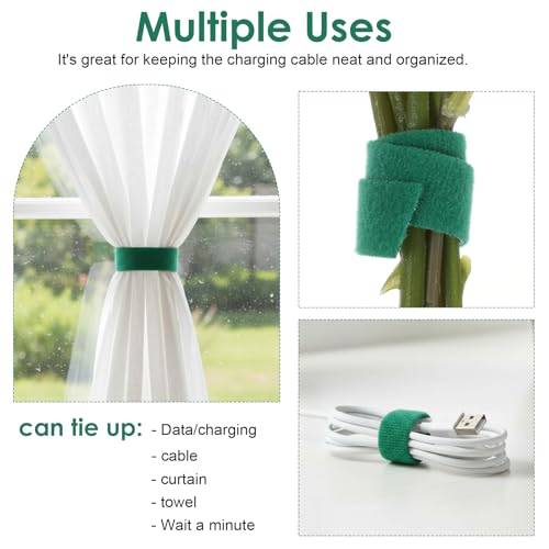 Plant Tape for Climbing Plants - Reusable Green Plant Tape & Adjustable Garden Ties for Greenhouse, Tree, and Floral Support (197 ft x 0.59 in)