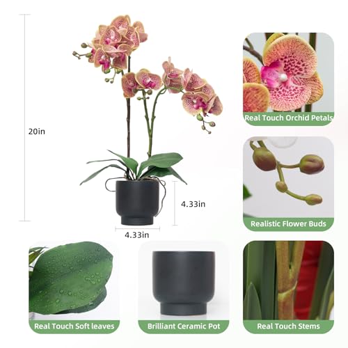 CXGS Orchids Artificial Flowers Real Touch Fake Flowers in Ceramic Pot 20" Purple Dapple Faux Orchid Plant Lifelike Silk Phalaenopsis for Centerpiece Hotel Home Indoor Decor - color: Purple Dapple- Black Vase