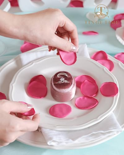 TINGE TIME 200pcs Silk Rose Petals Hot Pink Flower Petals for Wedding, Flower Girl Basket, Aisle Runner, Romantic Dinner Centerpieces, Proposal, Party Confetti - color: Hot Pink