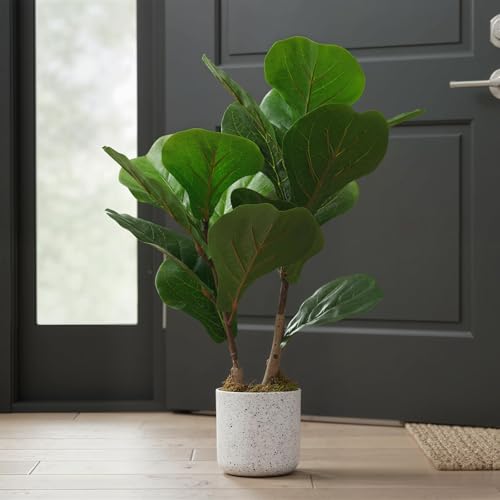 Artificial Fiddle Leaf Fig Tree in Pot 2 Sets, 15.7" Faux Ficus Lyrata Plant Green Bonsai in White Planter, Indoor Decorative Fake Tree for Home Office Desk Living Room, Modern Room Decor - size: 15.7 inches