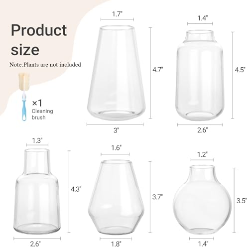Mkono Propagation Vases for Plants, Set of 5 Small Glass Jar Planters for Hydroponic Cutting Flowers, Plant Station Bud Vases for Centerpieces Home Office Decor Gift - color: Clear