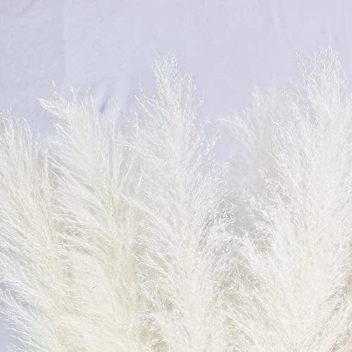 10 Stems 40-inch White Pampas Grass Decor Tall, Large Pampas Grass, Boho Neutral Home Decor Bouquet. Fluffy Pampas Grass for Floor Vases, Wedding Floral Arrangements, Wall Decor, Farmhouse Table Decor - size: 10PCS-40inch