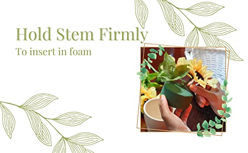 Pack of 6 FLOFARE Round Floral Foam Blocks for Fresh and Artificial Flowers, Each (3" X 1.5"), Dry & Wet Green Flower Foam for Flower Arrangements & Florist Supplies - size: 3 inch
