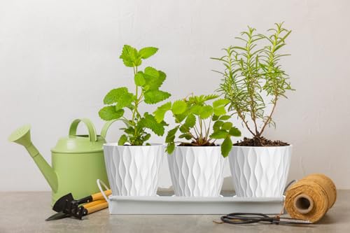 4 Inch Plant Pots, 6 Pack Indoor Flower Pots, Planters with Drainage Holes and Trays for Orchids, Violets, Succulents, Herbs, and Other Plants,White - color: White, size: 4inch